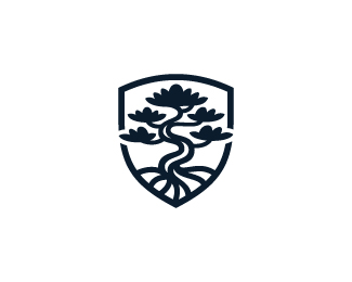Bonsai Shield Tree Logo