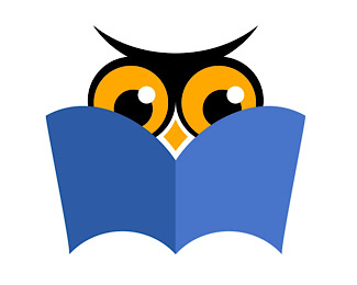 Owl books logo design