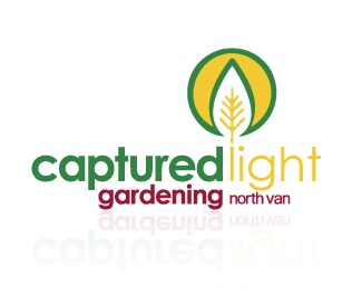 captured light gardening