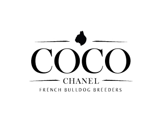 Coco Chanel French Bulldog Breeders
