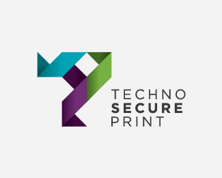 Techno Secure Print Logo Design