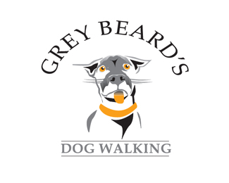 Gray Beard Dog
