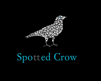 Spotted Crow