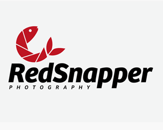 Red Snapper Photography
