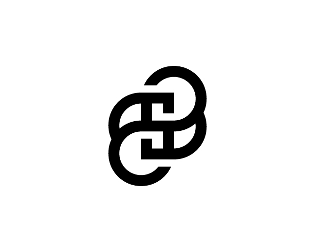 BS Letter Logo