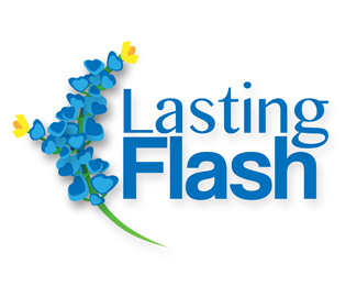 Lasting Flash Promo