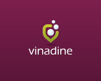 Logo Vinadine