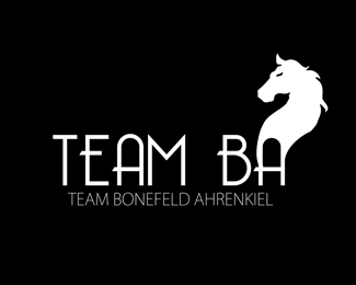 Team BA (Unused proposal)