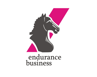 endurance business