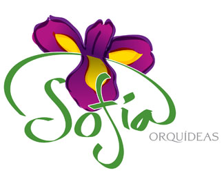 Sofía orquídeas