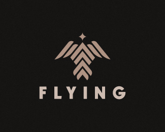 Flying logo design