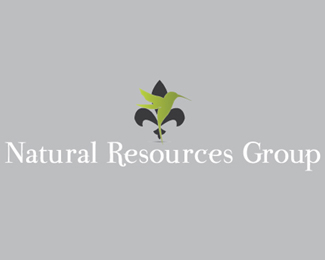 Natural Resourcing Group