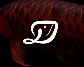 dragonfish