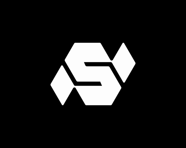 Modern SN Geometric Logo