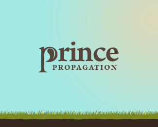 Prince Propagation
