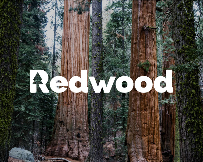 Redwood tree Logo