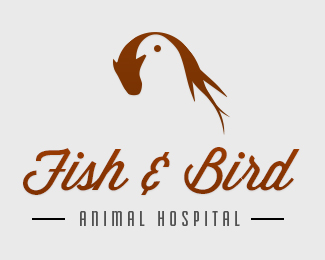 Fish & Bird