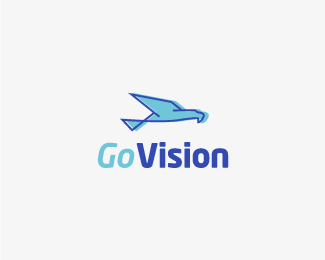 GoVision