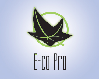 E-co Pro | E-commerce Professional