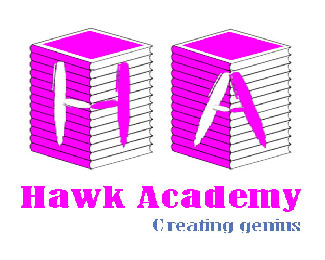 Hawk Academy 2