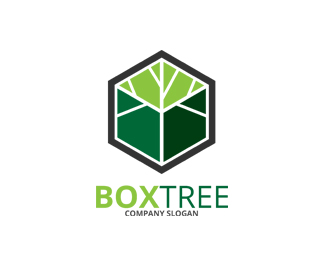 Box Tree