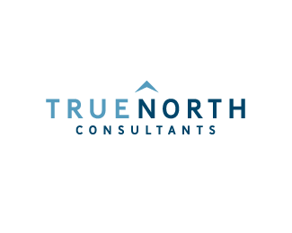 True North Consultants