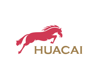 HUACAI E-COMMERCE