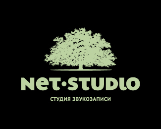 Net studio