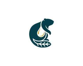 Eco Beaver Drop Logo