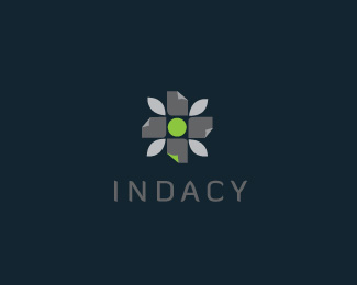 Indacy concept 4