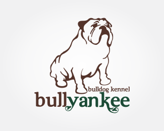 Bull Yankee Bulldog Kennel