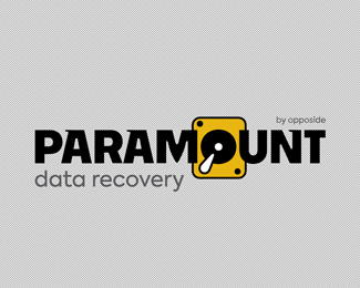 Paramount Data Recovery