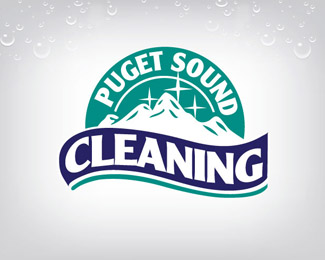 Puget Sound Cleaning