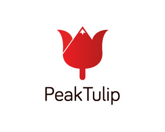 Peak Tulip