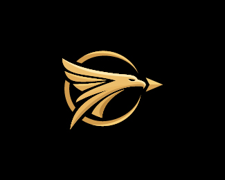 Flying Eagle Orbit Logo