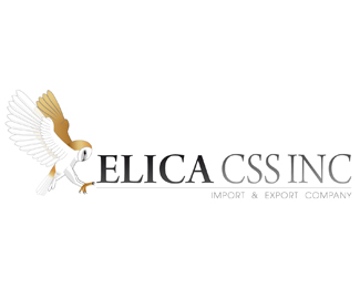 ELICA CSS INC