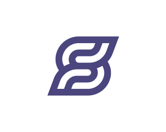 Elegant Letter S Logo