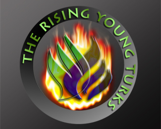 ngo logo