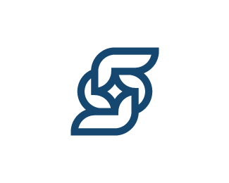 Letter S Star Logo