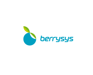 Berrysys Proposal WIP
