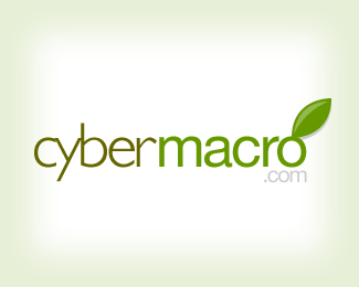 Cyber Macro
