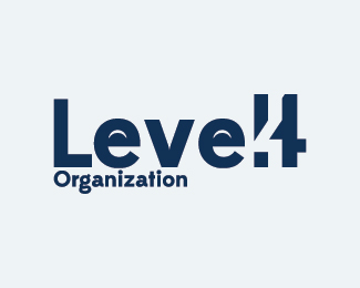 Level 4 Organization