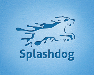 Splashdog
