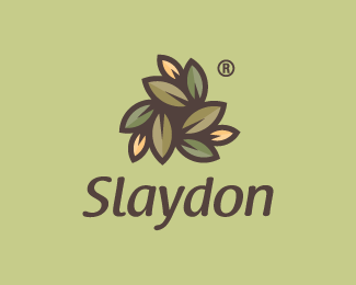 Slaydon Media