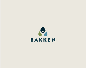 BAKKEN_WIP_2