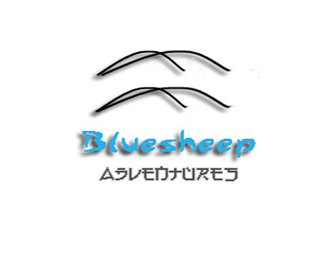 Bluship Adventures