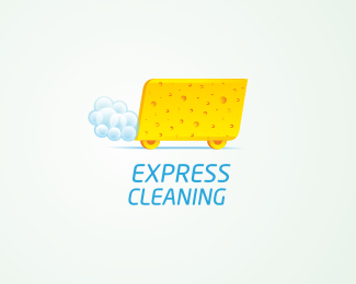 Express Cleaning