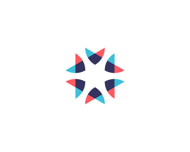 Modern Abstract Star Icon