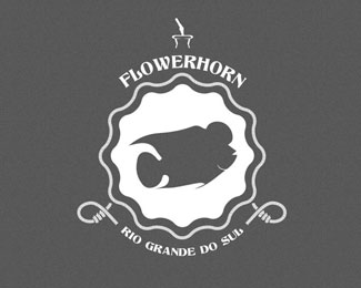 Flowerhorn - Aquarismo Gaúcho