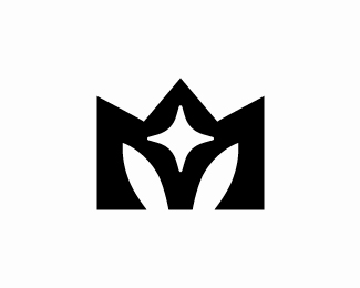 Letter M Star Logo